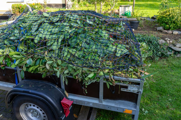 Best Furniture Removal  in Clear Lake, IA